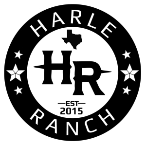 HR-Logo-Comp-1 - Logo Design Dallas